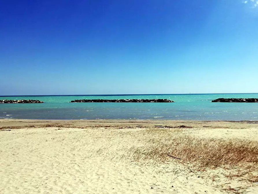 Immagine 11 di Attività commerciale in vendita  a Cupra Marittima