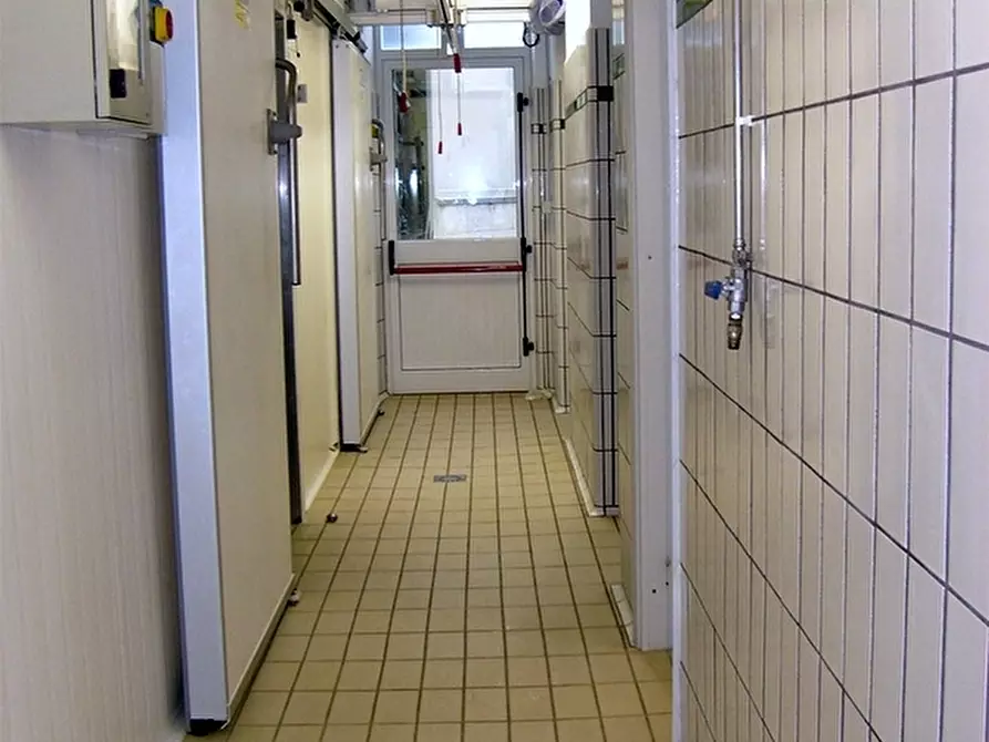 Immagine 9 di Azienda agricola in vendita  in periferia a Petritoli