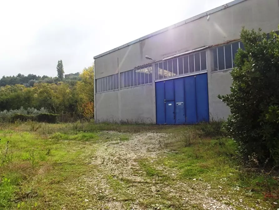 Immagine 5 di Capannone industriale in affitto  a Acquaviva Picena