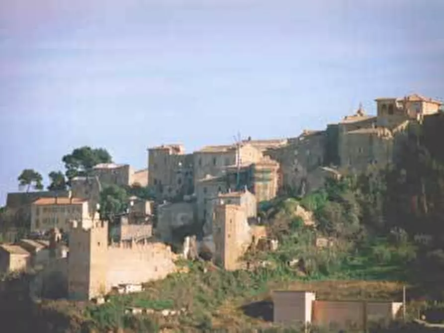 Immagine 17 di Attività commerciale in vendita  a Cupra Marittima