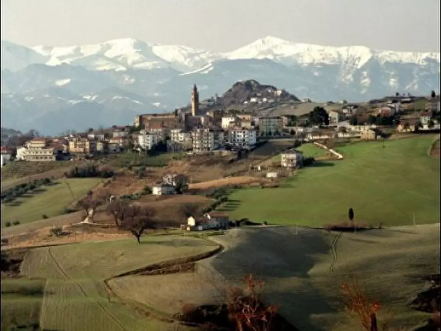 Immagine 2 di Terreno agricolo in vendita  in c.da S. Angelo di Ripaberarda a Castignano