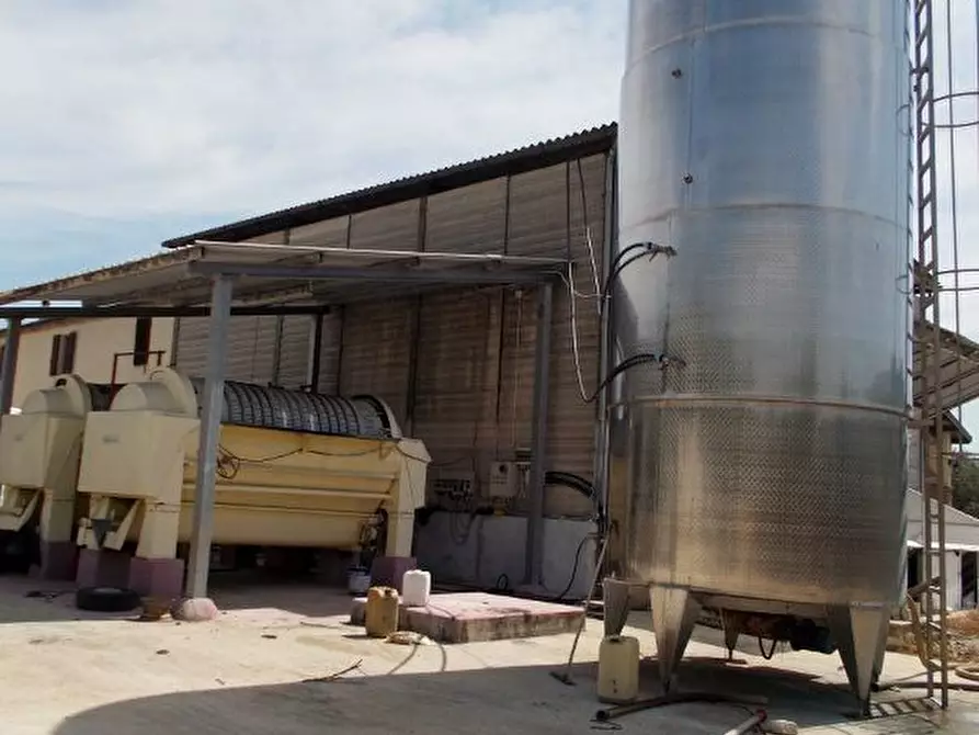 Immagine 9 di Azienda agricola in vendita  a Ripatransone