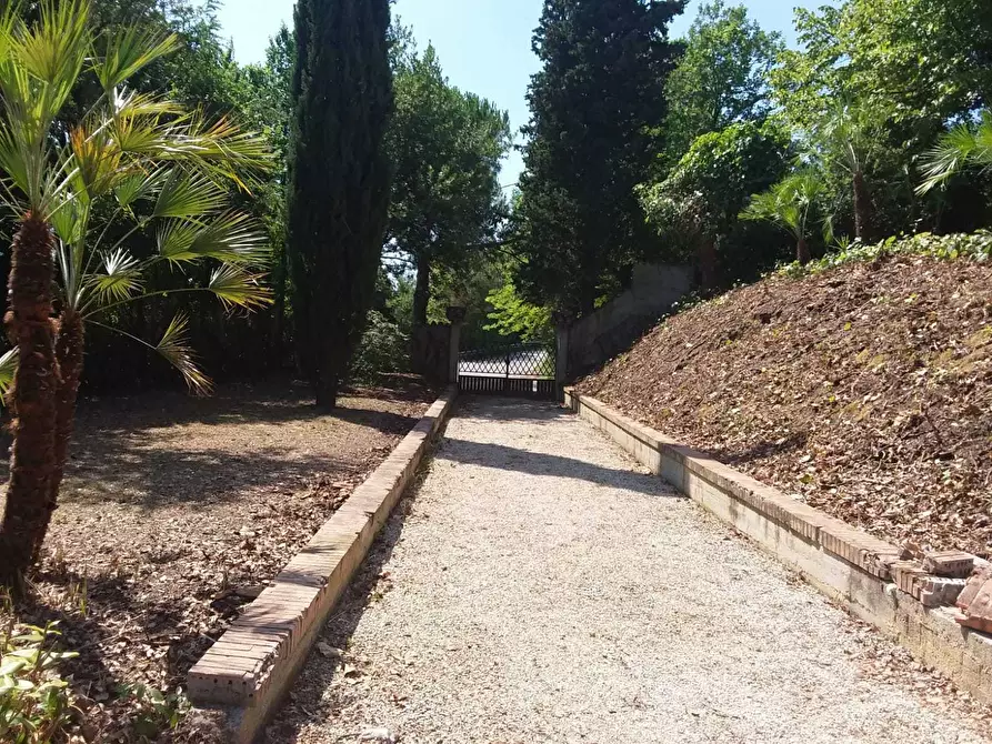 Immagine 10 di Terreno edificabile in vendita  a Tortoreto