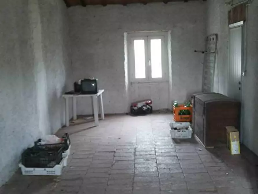 Immagine 27 di Terreno agricolo in vendita  a Mondavio