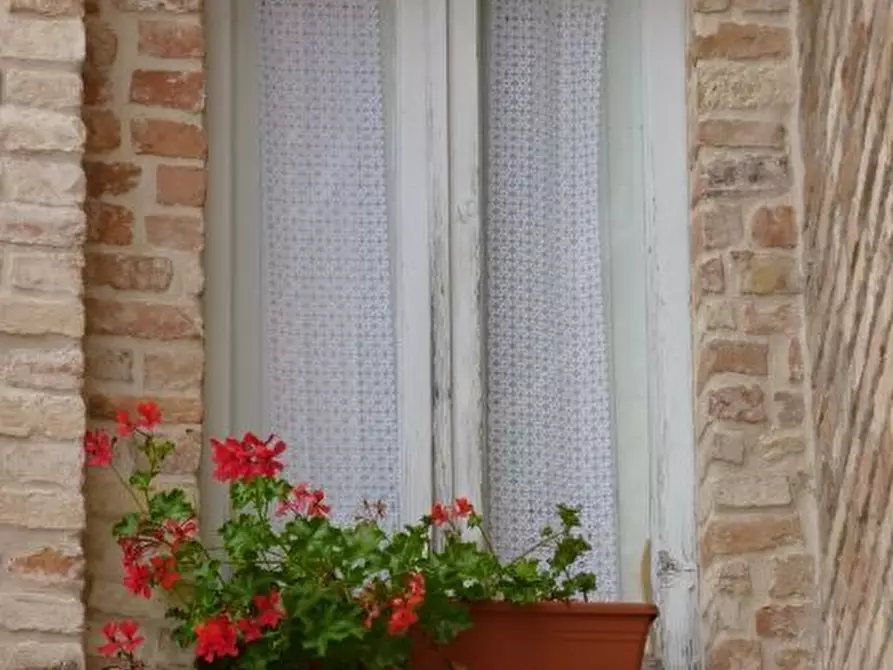 Immagine 41 di Appartamento in vendita  a Ripatransone