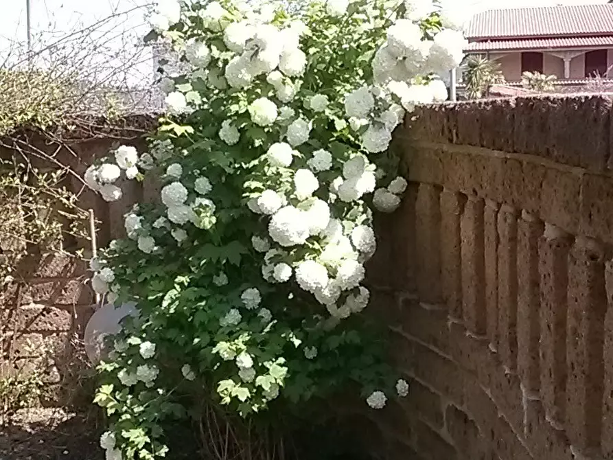 Immagine 37 di Villa in vendita  a Campli