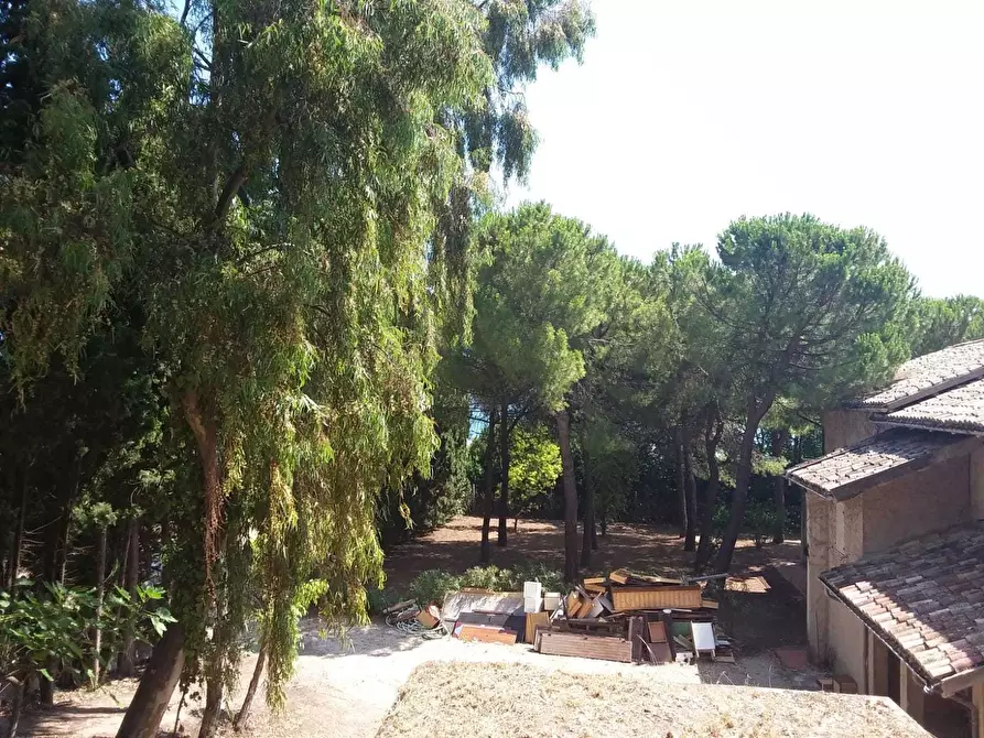 Immagine 10 di Casa indipendente in vendita  a Tortoreto