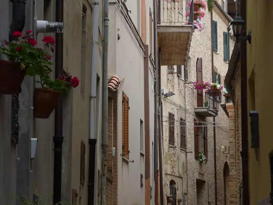 Immagine 9 di Casa indipendente in vendita  a Ripatransone