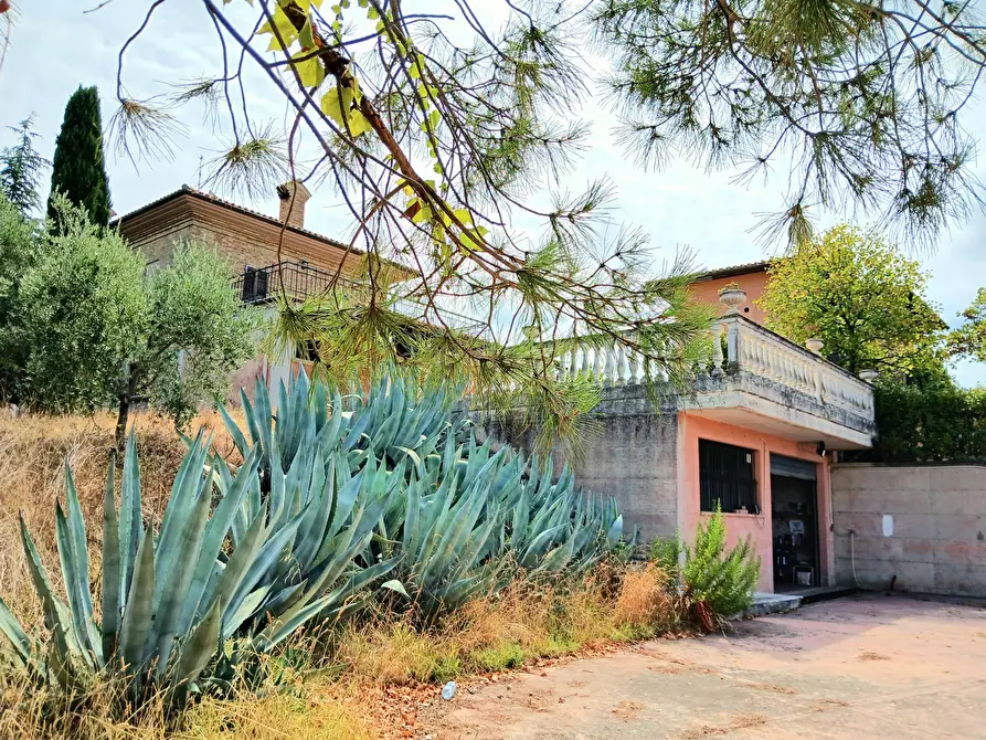 Immagine 46 di Casa indipendente in vendita  a Ancarano