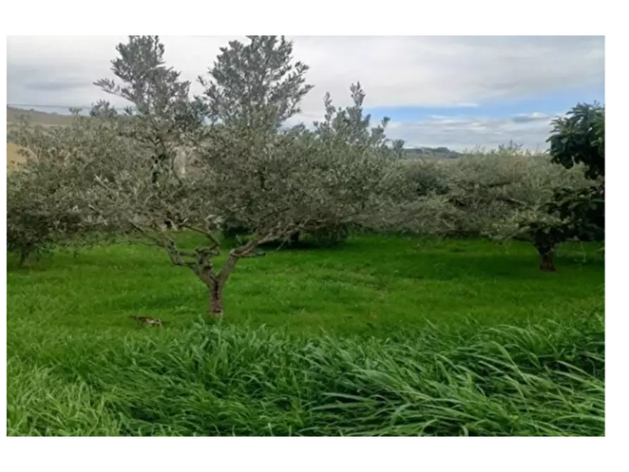 Immagine 2 di Casa indipendente in vendita  a San Benedetto Del Tronto