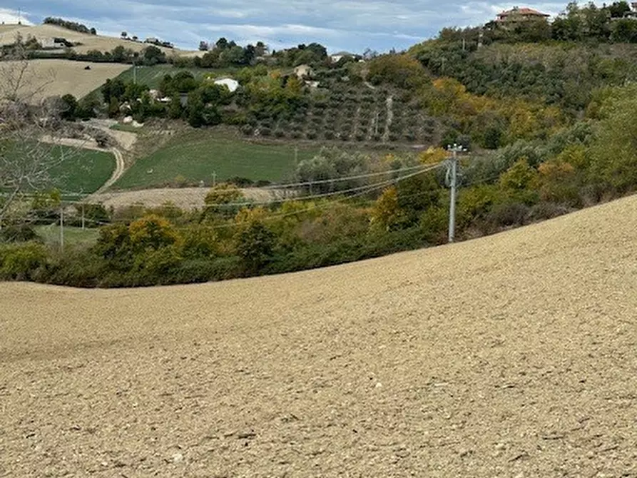 Immagine 39 di Casa bifamiliare in vendita  a Carassai