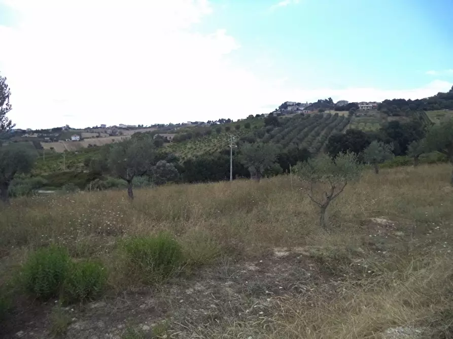 Immagine 7 di Casa indipendente in vendita  a Colonnella