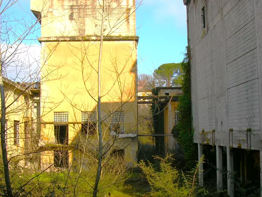 Immagine 8 di Palazzo in vendita  a Ceprano