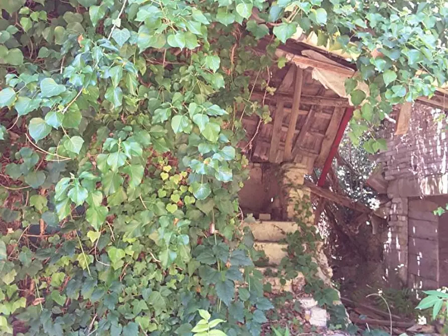 Immagine 4 di Casa indipendente in vendita  a Cupra Marittima