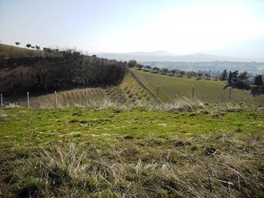 Immagine 2 di Terreno edificabile in vendita  in contrada a Castorano