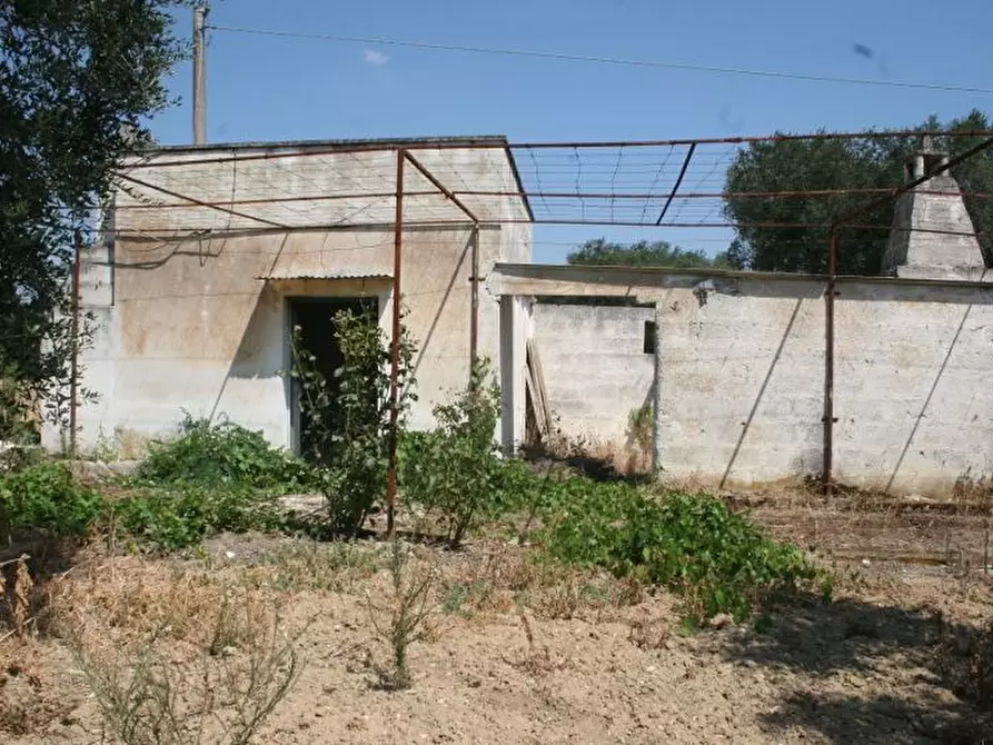 Immagine 6 di Terreno agricolo in vendita  in contrada mandrò a Cutrofiano