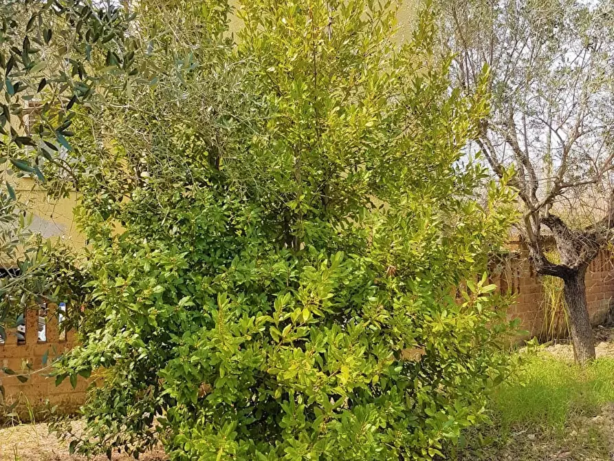 Immagine 23 di Villa in vendita  a Campli