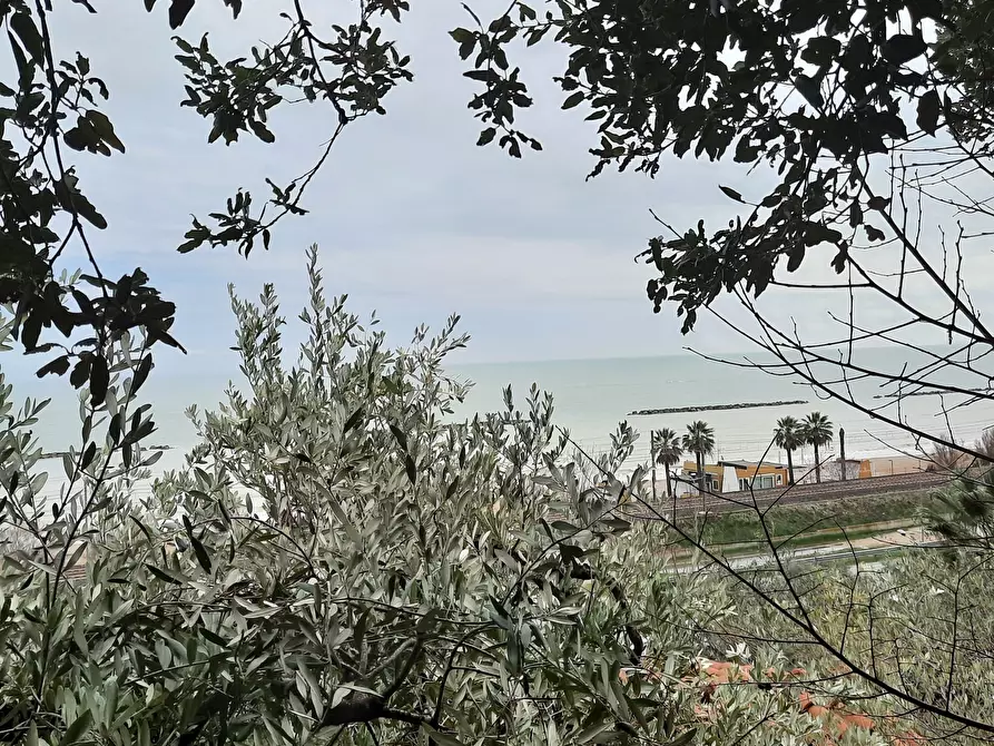 Immagine 30 di Attività commerciale in vendita  a Cupra Marittima