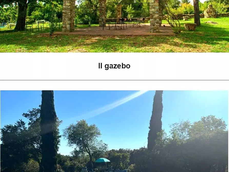 Immagine 4 di Casa vacanze in vendita  a Monterotondo Marittimo