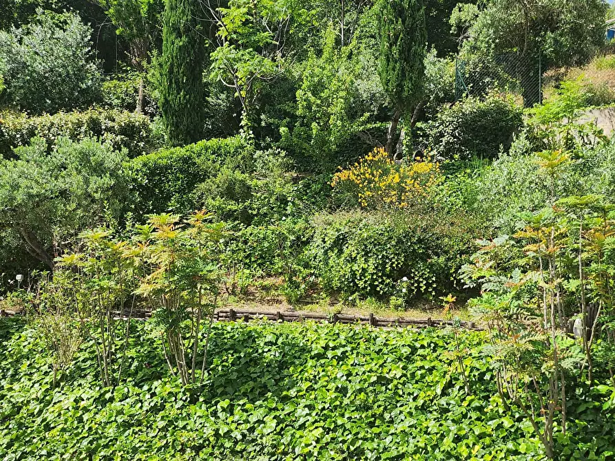 Immagine 69 di Casa indipendente in vendita  a San Benedetto Del Tronto