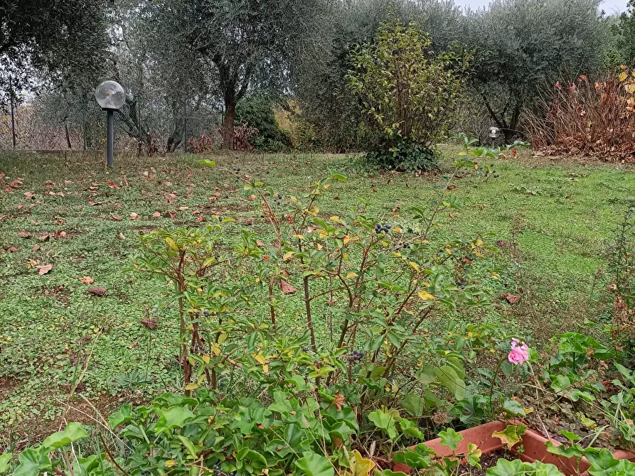 Immagine 43 di Casa indipendente in vendita  a Folignano
