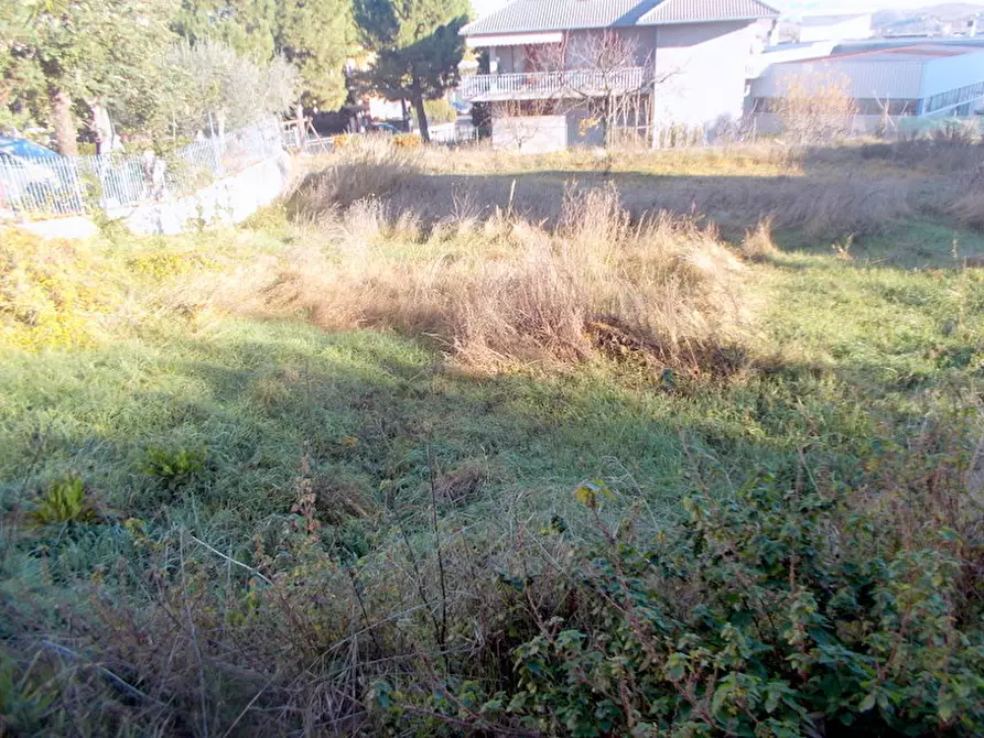 Immagine 2 di Terreno edificabile in vendita  a Offida