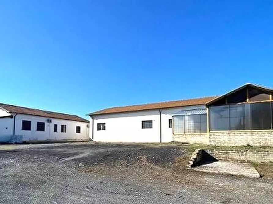 Immagine 7 di Capannone industriale in affitto  a Fiano Romano