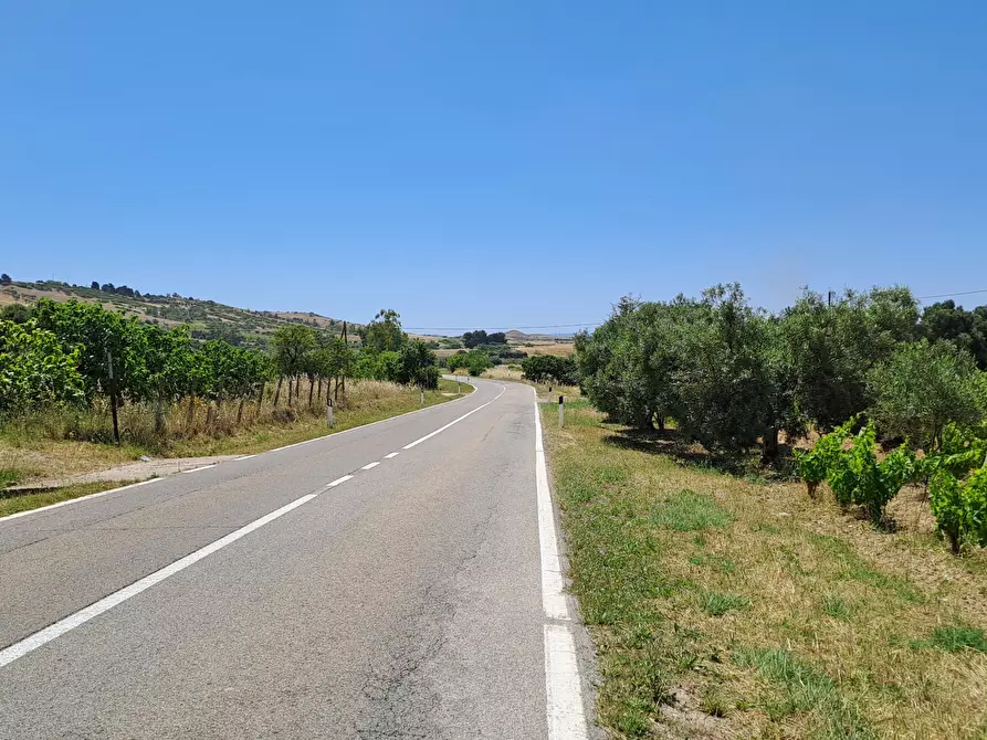 Immagine 2 di Terreno agricolo in vendita  a Settimo San Pietro