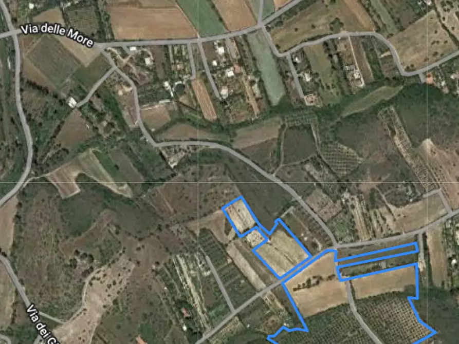 Immagine 2 di Terreno agricolo in vendita  in Via dei Gladioli a Quartucciu