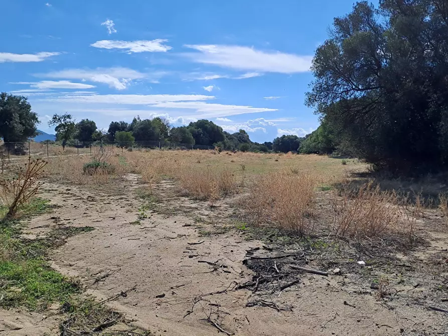 Immagine 18 di Terreno agricolo in vendita  a Quartucciu