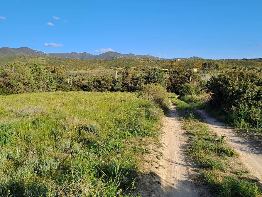 Immagine 35 di Terreno agricolo in vendita  in Via dei Gladioli a Quartucciu