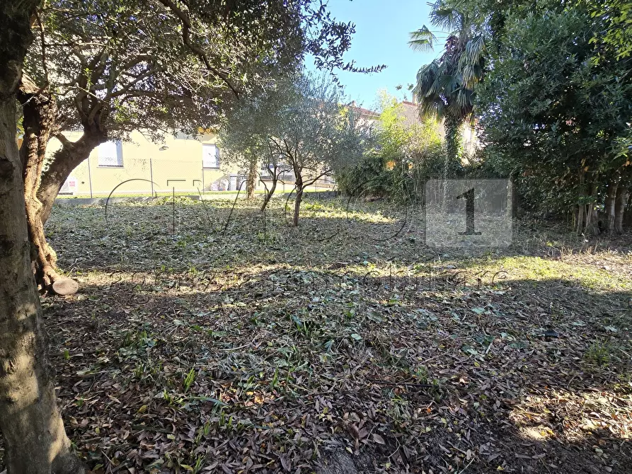 Immagine 6 di Casa indipendente in vendita  in via Veneto 52 a Castegnero