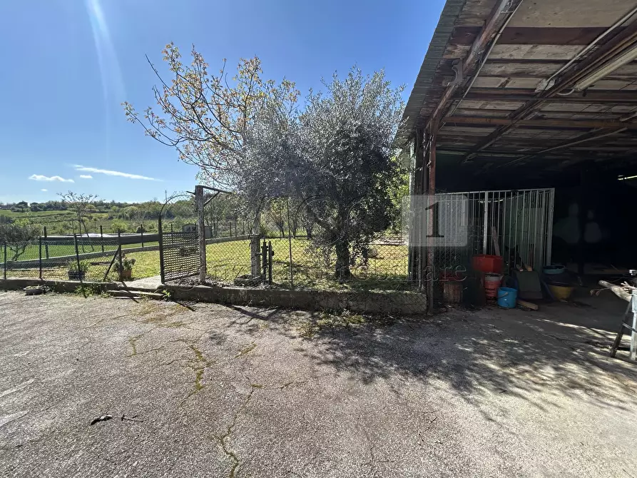 Immagine 39 di Casa indipendente in vendita  in Via G. Verdi 36 a Villaga