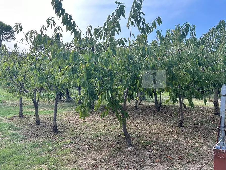 Immagine 14 di Terreno agricolo in vendita  in Via Castellaro a Castegnero