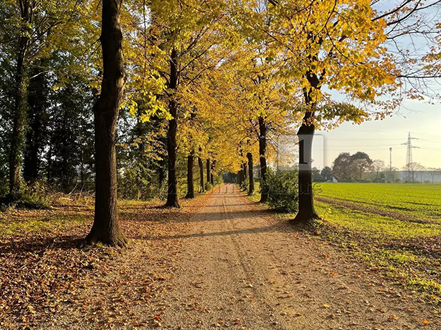 Immagine 19 di Rustico / casale in vendita  in Via Cà Storta 1 a Longare