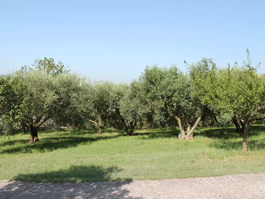 Immagine 14 di Casa indipendente in vendita  a Brendola