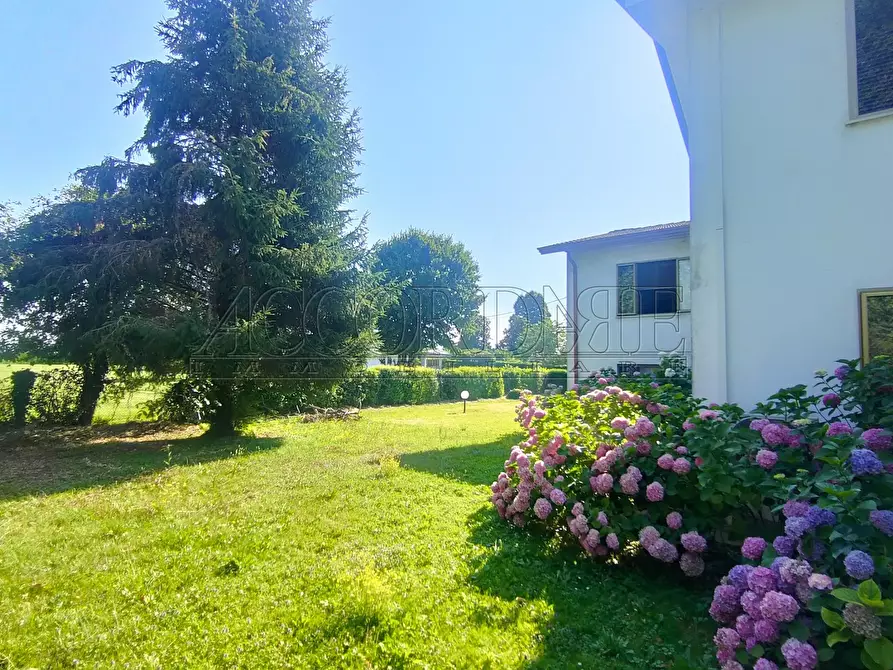 Immagine 2 di Casa bifamiliare in vendita  a Rubano