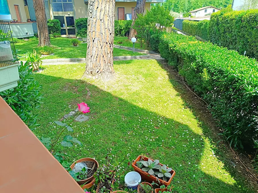 Immagine 2 di Appartamento in vendita  in Ronchi a Massa