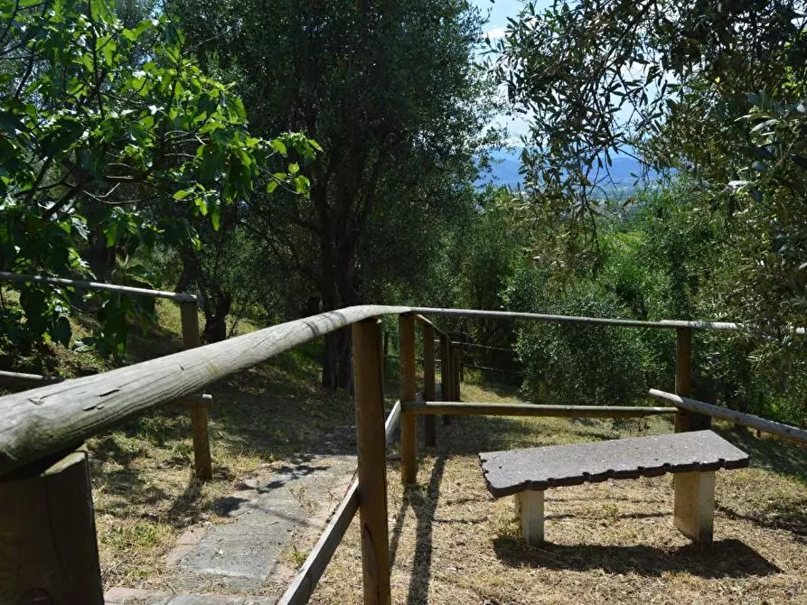 Immagine 29 di Villa in vendita  in Via dei Pini 9 a Castelnuovo Magra