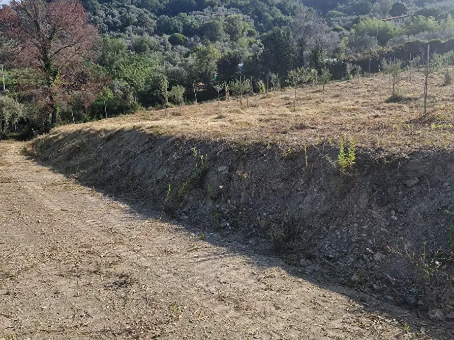 Immagine 11 di Appartamento in vendita  in Via Montefrancio 46 a Castelnuovo Magra