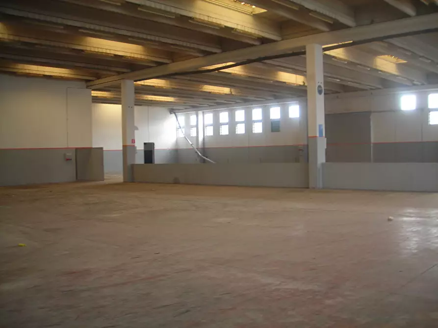 Immagine 4 di Capannone industriale in vendita  a Sabaudia