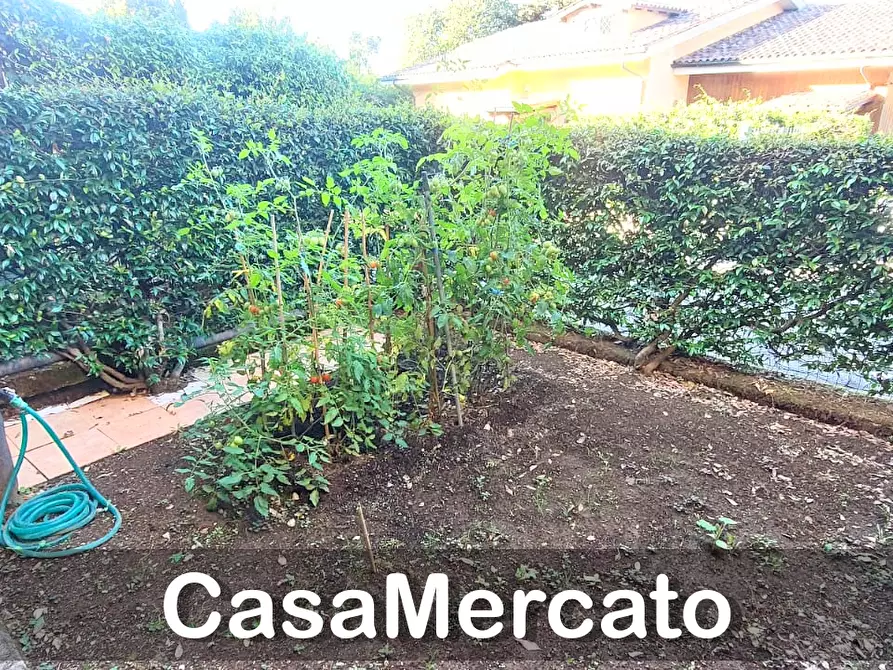 Immagine 20 di Bilocale in vendita  a Rocca Di Papa