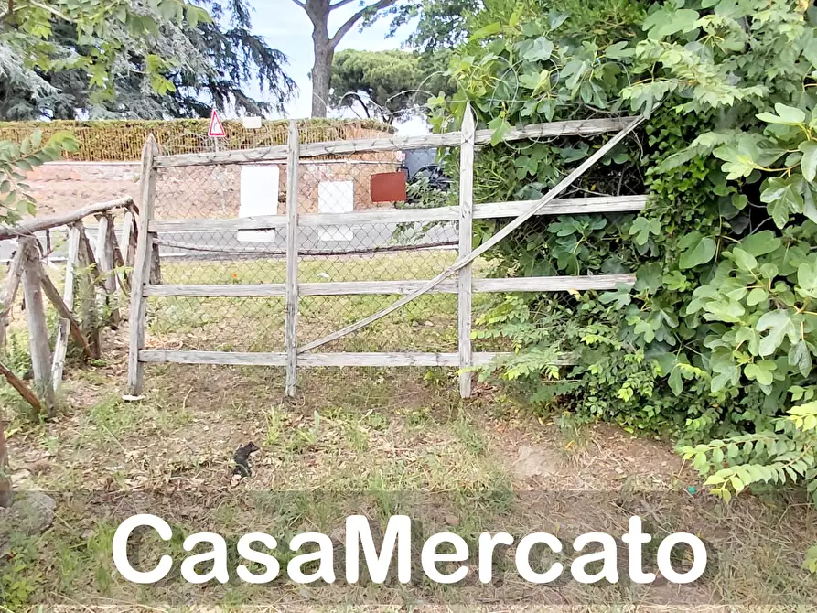 Immagine 13 di Terreno agricolo in vendita  a Rocca Di Papa