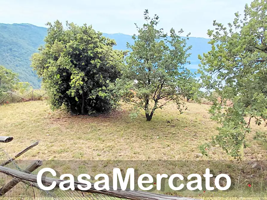 Immagine 3 di Terreno agricolo in vendita  a Rocca Di Papa