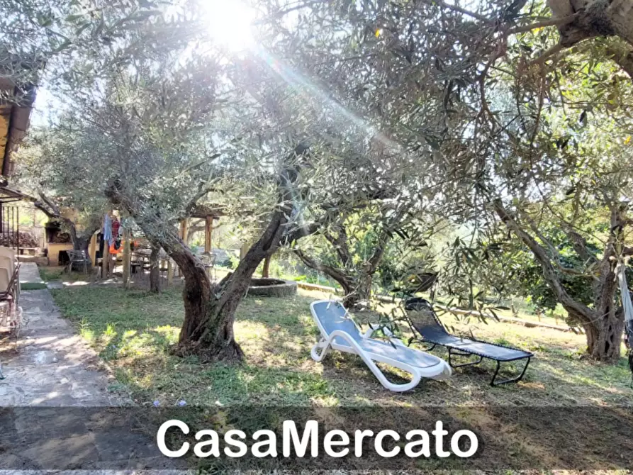 Immagine 20 di Rustico / casale in vendita  in Via del Tuscolo a Grottaferrata