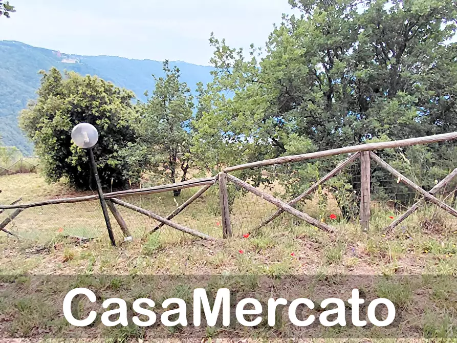 Immagine 15 di Terreno agricolo in vendita  a Rocca Di Papa