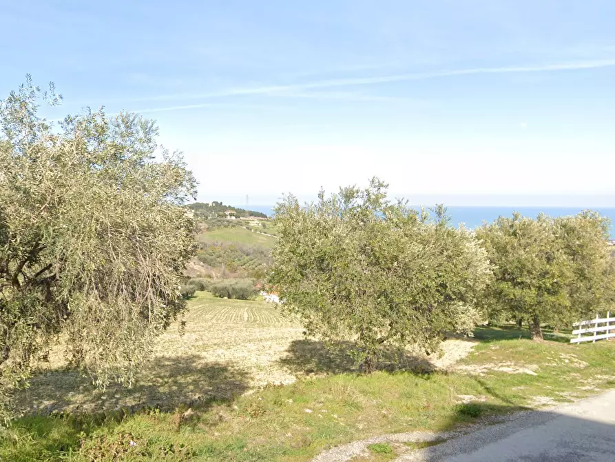 Immagine 3 di Terreno edificabile in vendita  a Colonnella