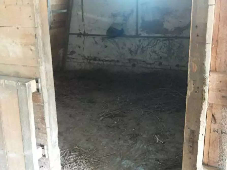 Immagine 6 di Casa indipendente in vendita  a Mondavio