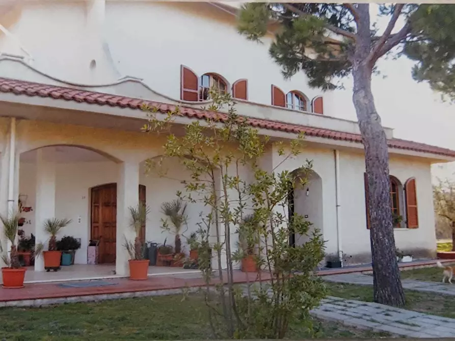 Immagine 3 di Casa indipendente in vendita  a Monteprandone