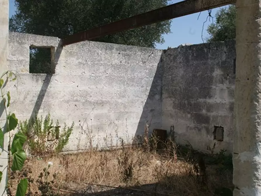Immagine 10 di Terreno agricolo in vendita  in contrada mandrò a Cutrofiano